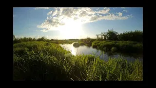 К реке весенними тропами. Беларусь. To the river by spring trails. Nature   of Belarus.
