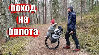 ПОХОД НА БОЛОТО