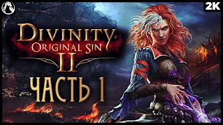 DIVINITY: ORIGINAL SIN 2 ➤ ПРОХОЖДЕНИЕ [2K] ─ ЧАСТЬ 1: НАЧАЛО ПУТЕШЕСТВИЯ ➤ Геймплей на Русском