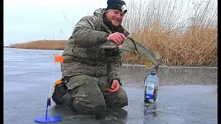 ПОСТАВИЛ ЖЕРЛИЦЫ И ПОНЕСЛАСЬ! Подводное видео АТАКИ ЩУКИ НА ЖИВЦА.  Зимняя рыбалка на щуку.