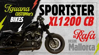 La Harley Davidson de Rafa  + Chaqueta Maverick: ¡No te lo pierdas! 🏍️✈️