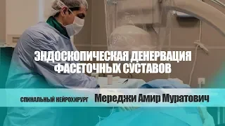 Эндоскопическая денервация фасеточных суставов (лечение фасеточного синдрома). Доктор Мереджи А М