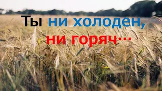 Служение общины Бейт Талмидим Проповедь: Ты не холоден не горяч..