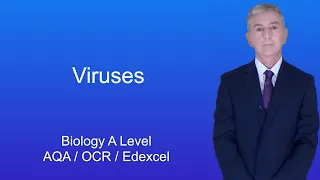A Level Biology Revision "Viruses"