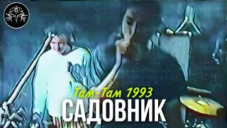 Король и Шут - Садовник [ТАМ-ТАМ, 1993 год] #корольишут #киш #нарезки #шуты