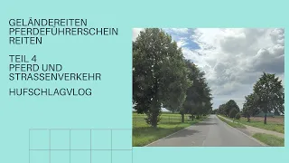 Geländereiten Teil 4 Pferd und Straßenverkehr