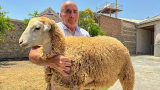 Butchering a Whole Sheep and Cooking Traditional Juicy Stew in Azerbaijan Village!