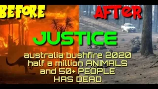 australia bushfire 2020 justice  to 500,000 ANIMALS and people of dead