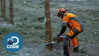 How to Battle with a Professional Lumberjack