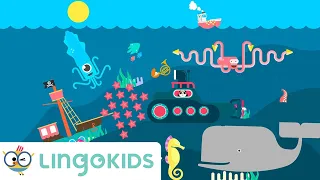 Down Down (Under the Sea) 🐙 Sea Animals Song for Toddlers | Lingokids