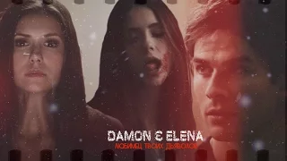 ► Damon & Elena _ Любимец твоих дьяволов