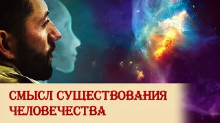 Смысл существования человечества