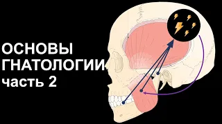 ОСНОВЫ ГНАТОЛОГИИ часть 2