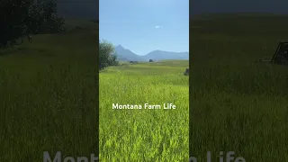 Montana Farm Life