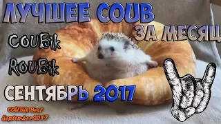 Лучшее видео по версии COUBik за Месяц Сентябрь 2017