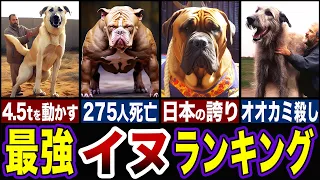 【衝撃】世界最強の犬がヤバすぎる…!!最強の犬種ランキングTOP5【ゆっくり解説】