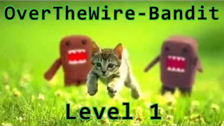 OverTheWire - Bandit Level 1 walkthrough