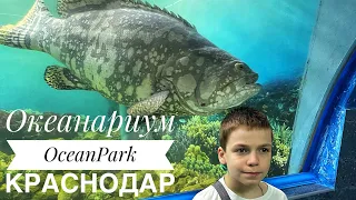 КРАСНОДАР. ОКЕАНАРИУМ OCEAN PARK. ТРК ГАЛАКТИКА