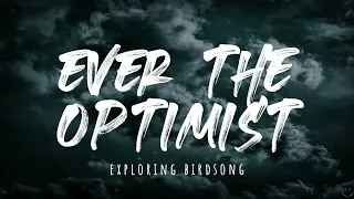 Exploring Birdsong - Ever The Optimist (Lyrics)