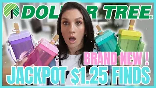 22 ITEMS for $27.50 *DOLLAR TREE HAUL* I have been praying to find these | ICE CREAM CANTEENS!