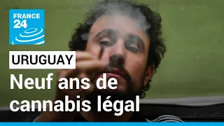 Neuf ans après la légalisation du cannabis, l’Uruguay peine à satisfaire la demande