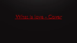 Haddaway - What is love | Instrumental Cover