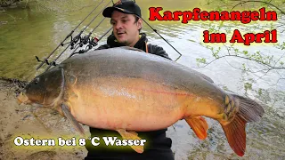 Karpfenangeln im April - Kurzsession auf Karpfen an Ostern bei 8°C Wassertemperatur!