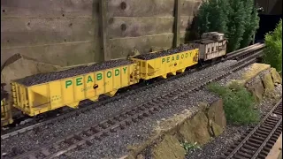 G scale Norfolk Southern running session
