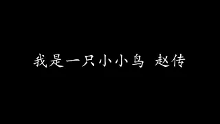 我是一只小小鸟 赵传 (歌词版)