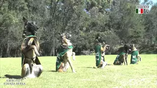 Cápsula No. 4, "La Gran Fuerza de México". LA POLICIA MILITAR