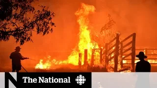 Wildfires in Australia approach Sydney