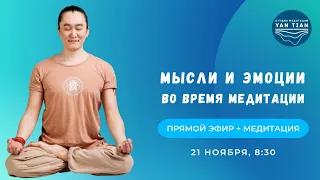 Мысли и эмоции во время медитации | Прямой эфир + медитация | Ян Тиан