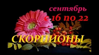 СКОРПИОНЫ. С 16 по 22 СЕНТЯБРЯ 2019 г. ПРОГНОЗ на НЕДЕЛЮ.