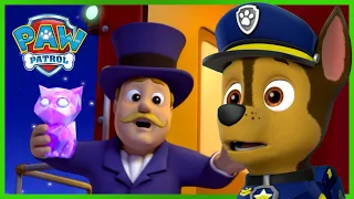 Ultimate Rescue PAW Patrol Saves the Royal Kitties | PAW Patrol | Cartoons for Kids Compilation