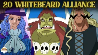 20 Most Powerful and Famous Captains of the Whitebeard Pirates