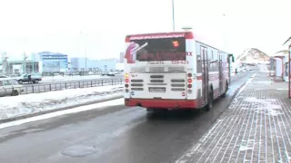 Определен победитель самого оригинального поздравления в День святого Валентина