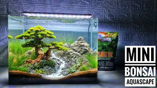 #267 Mini bonsai Aquascape untuk pemula