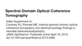 Spectral-Domain Optical Coherence Tomography