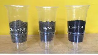 Types of Soil | Water Flow and Absorption Test | Sand, Loam and Clay Soil