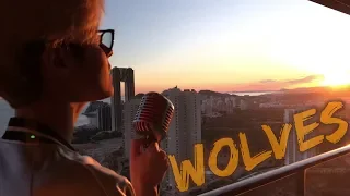 Selena Gomez, Marshmello - Wolves (Kristian Kostov Cover)