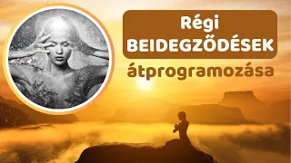 A regi beidegzodesek atprogramozasa | SzemelyisegFEJLESZTES