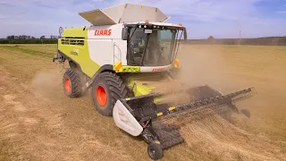 Harvesting Grass Seed w/ Claas Lexion 770