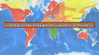 Les grandes aires génétiques dans le Monde et leur origine