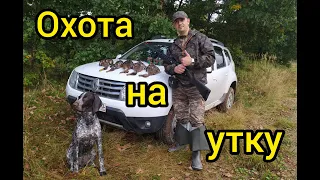 Охота  на утку с подхода! Duck Hunting!  мр - 155 снова не подвело , делаю первую норму по утке !