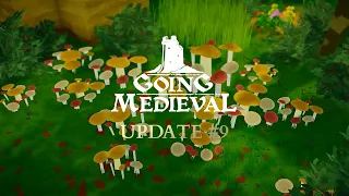 Update #9: Environment Effects Overhaul - Going Medieval