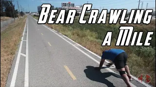 Bear Crawling a Mile | Inspired by Rulk & Luke Zocchi