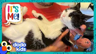 The Only Thing This Cat Loves More Than His Dad Is... Potatoes?! | Dodo Kids | It's Me!