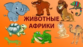 ЖИВОТНЫЕ АФРИКИ видео про животных Африки. Развивающее видео для детей. ANIMALS OF AFRICA