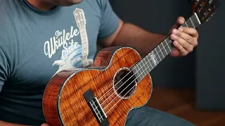 Kamaka Jake Shimabukuro Signature Model Ukes