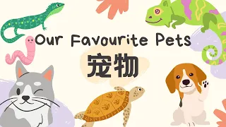 【可爱的宠物Our Favourite Pets】猫🐱 | 狗🐶 | 兔子🐰 蛇🐍  宠物的中文名称 Chinese Vocabulary Learning for Pets